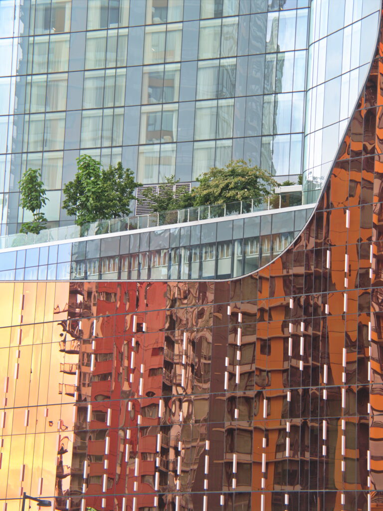 Boost Your Sacramento Business with SEO Campaigns